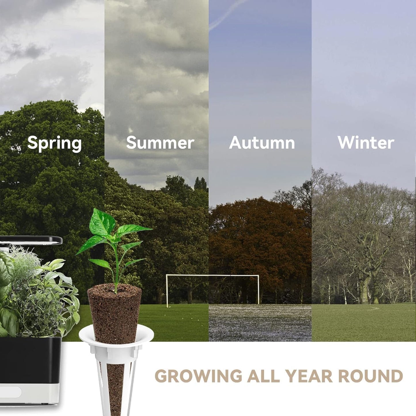 inbloom Salsa Seed Pod Kit for Aerogarden Hydroponics Growing System Kit, 18-Pods (350+ Seeds Included Cherry Tomato, Pepper & Cucumber), Grow Anything Hydroponic Supply for IDoo Ahopegarden