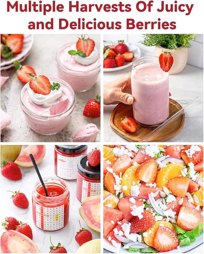 LYKOCLEAN Hydroponic Seed Pod Kit Compatible with AeroGarden, Ahopegarden, iDoo, MUFGA, 8 Pods Complete Growing Anything Garden Supply with Strawberry Seeds, Grow Sponges, Baskets, Domes, Labels