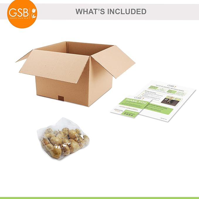 Garden State Bulb Wildflower Mix Multicolor Tulip Flower Bulbs, 6/+ cm, Fall Planting (Bag of 25)