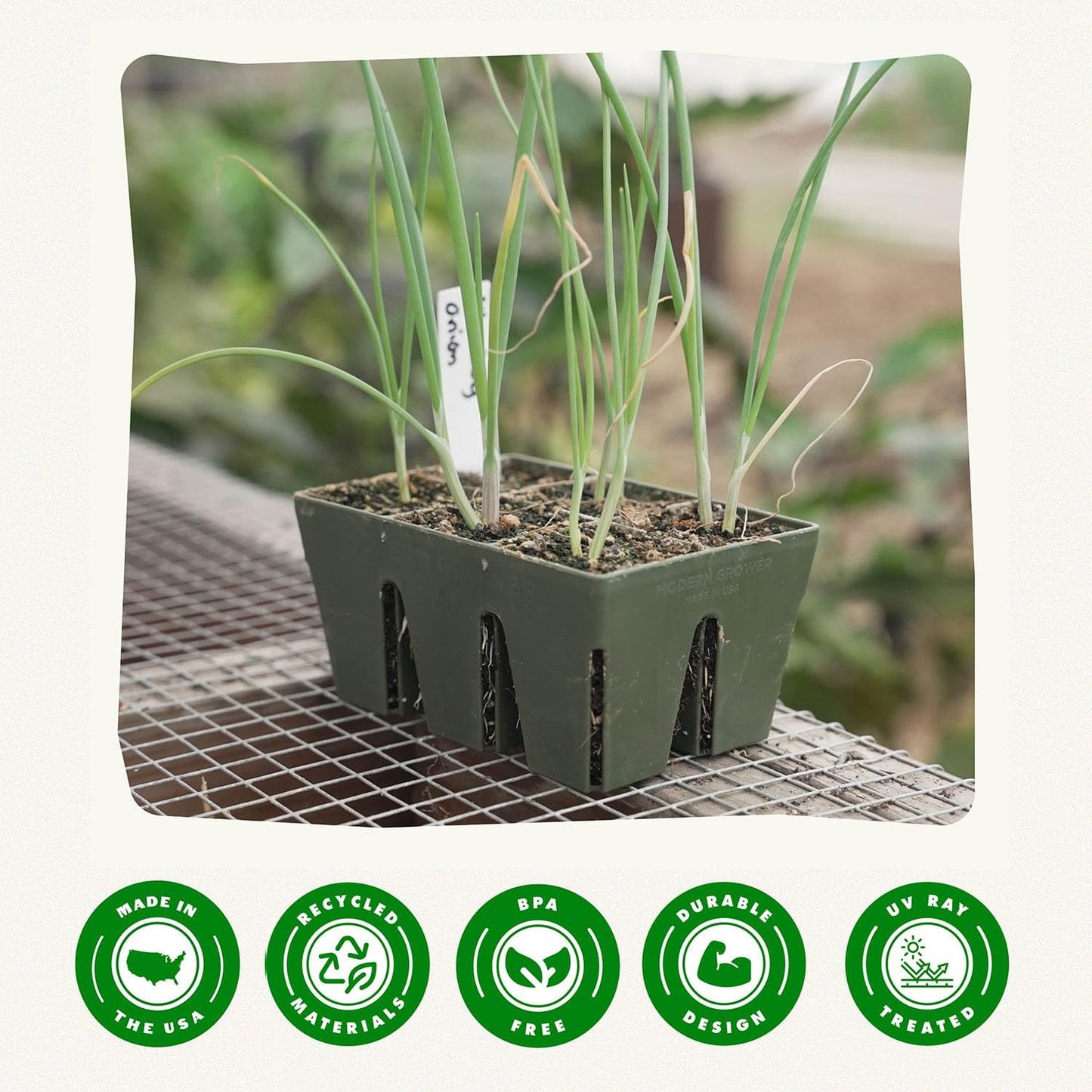 Epic Gardening Reusable Seed Starter Tray - Easy Watering Seed Starting Trays - Gardener Friendly Plant Trays for Seedlings | UV-Treated & BPA-Free -6-Cell Seed Starting Trays - 6 Trays/Sage Green