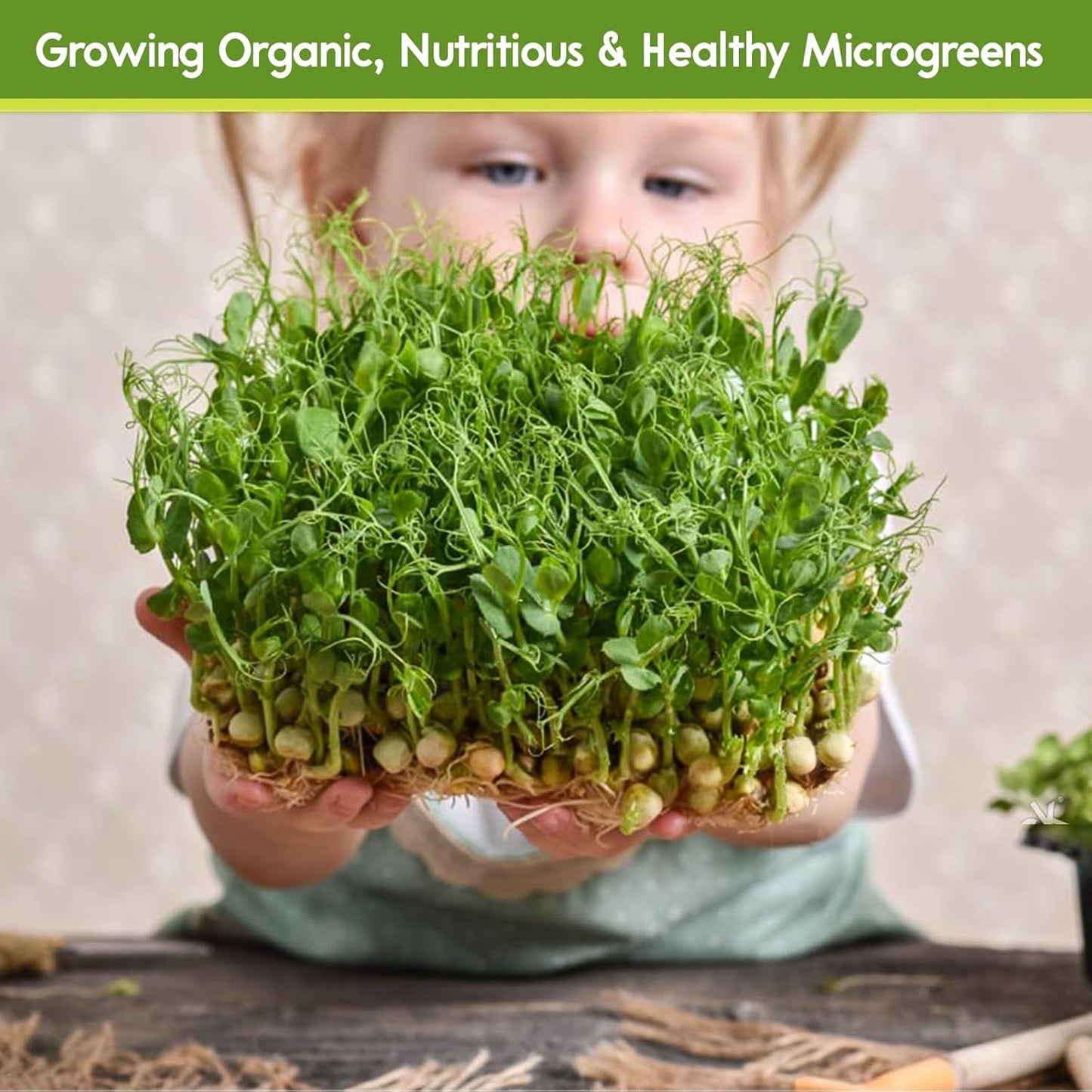 Legigo 12 Pack Jute Plant Grow Mat for Microgreens- 10" X 10" Hydroponic Grow Pads for 1010 Growing Trays, Hemp Fiber Mats Sprouting Pads Microgreens Growing Kit for Indoor Organic Wheatgrass Sprouts