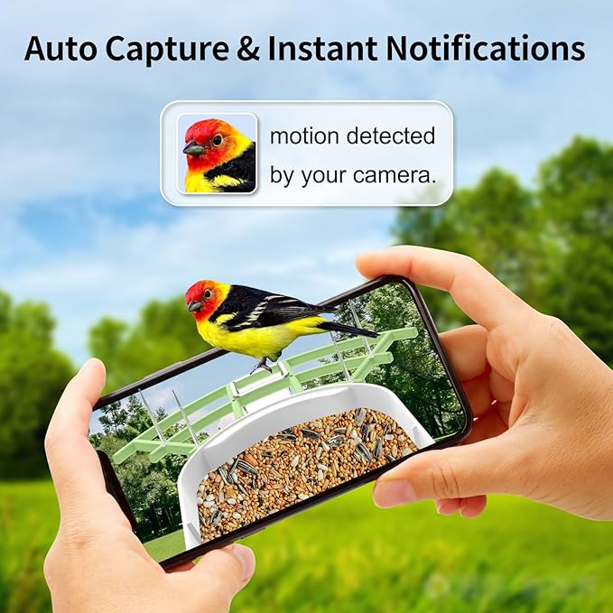 Bird Feeder with Camera, AI Identify Birds Species, FHD 2K Video Quality Bird Watching, Wireless Outdoor Weatherproof Birds House, Solar-Powered, for Garden, Yard,Patio, Green