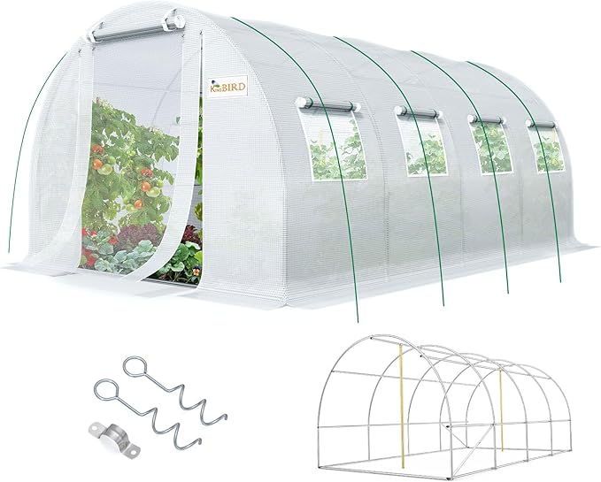 KING BIRD Premium 20x10x6.6FT Greenhouse for Outdoors, Large Walk-in Upgraded Galvanized Metal Frame, Mesh Door Screen Window Improved Zipper Tunnel Hoop for Garden Plant Winter, 2 Stiffeners, White