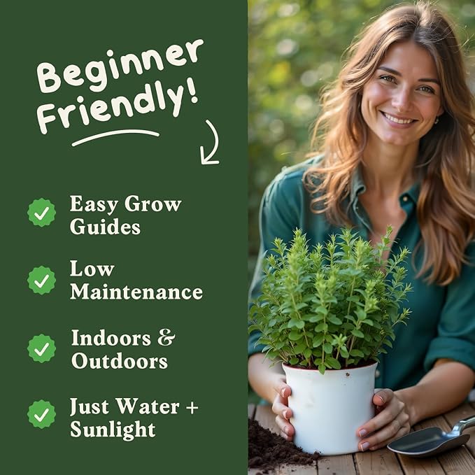 Seedboy Organic Thyme Seeds for Planting Indoor and Outdoor, Non-GMO and USDA Certified Herb Seed Packet for Hydroponic Garden Indoor or Planting Outdoors (Thyme)