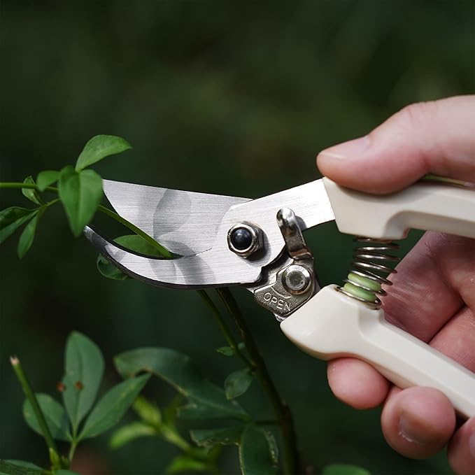 BUGUI Pruning Shears Garden Shears - Premium Alloy Steel Bypass Pruner, Precision-ground Blades, Heavy Duty Gardening Tools, 7" (H101)