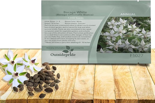 Outsidepride White Borage Seeds for Planting – 1000 Pcs. Annual, Drought-Tolerant Herb Seeds with Star-Shaped Blooms, Attracts Bees for Pollinator Gardens, Summer Teas, Decoration & Culinary Use