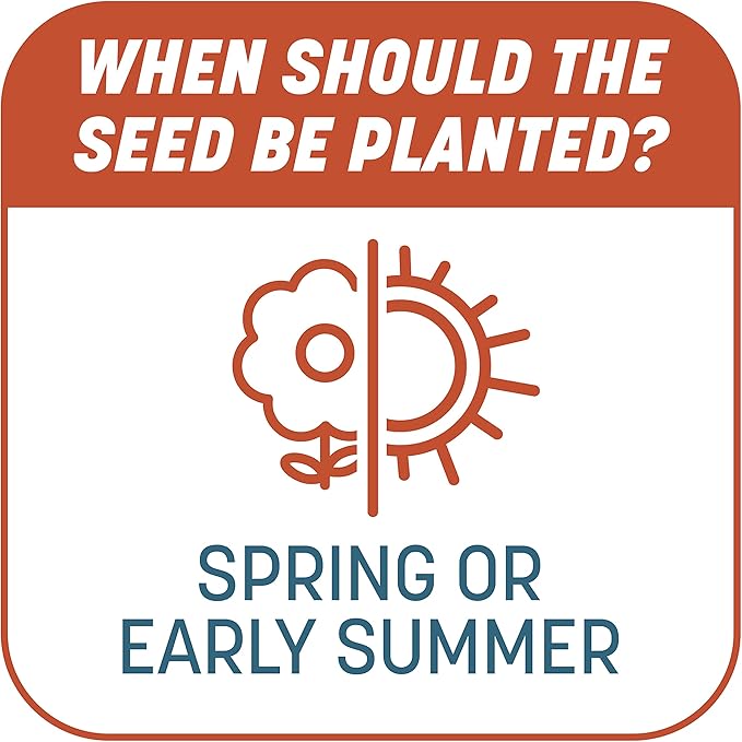 Pennington Smart Patch Bermudagrass Mix 30 lb