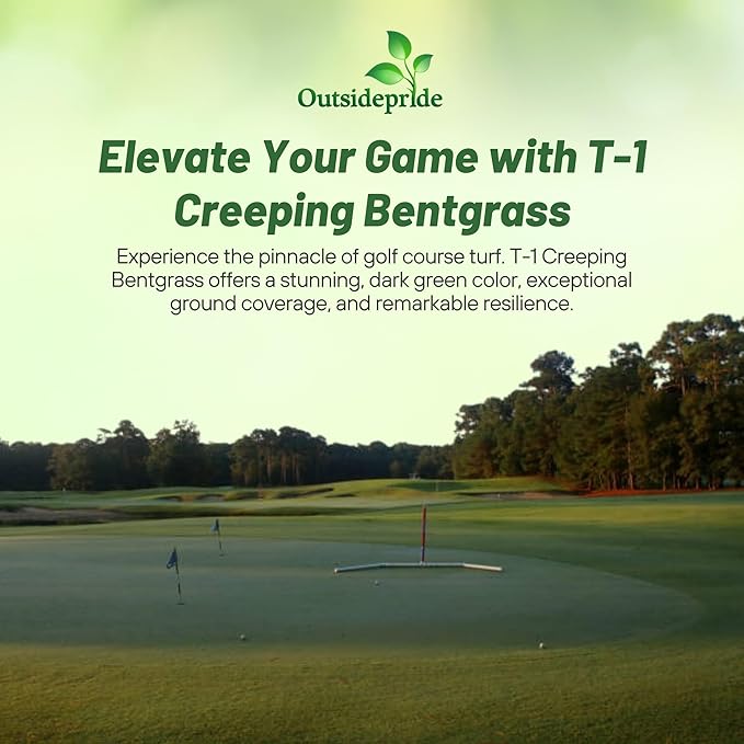 Outsidepride T-1 Creeping Bentgrass Seed - 25 lbs Fine-Bladed, Premium Quality Turf, Grass Seed for Smooth Surface, & High-Traffic Areas, Ideal Grass for Golf Courses Putting Greens, & Fairways