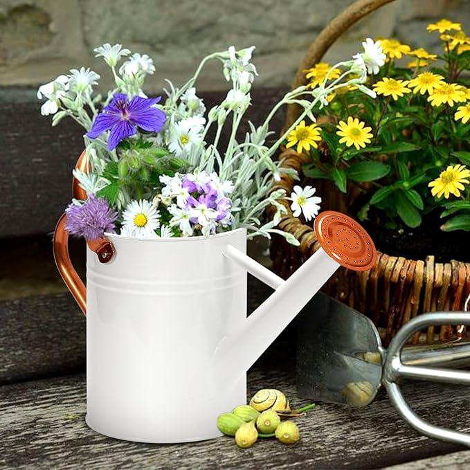 Metal Watering Can with Removable Spout, Galvanized Watering Can, Perfect for Indoor Use and for Outdoor Use (1 Gallaon, White)