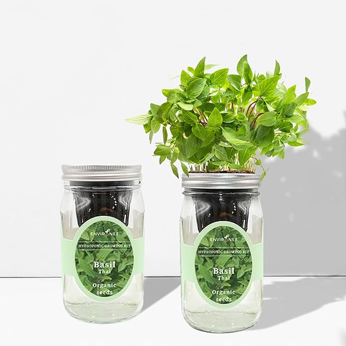 Hydroponic Herb Growing Kit, Self-Watering Mason Jar Herb Garden Starter Kit Indoor, Windowsill Herbs Garden, Grow Your Own Herbs from Organic Seeds (Thai Basil)