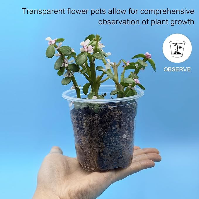 50p 3.5" Clear Nursery Pots with 4p Trays and 2p Adjustable LED Grow Lights – Transparent Plant Pots with Drainage Holes, Complete Seed Starter Kit with 5" Tall Humidity Dome for Plant Propagation