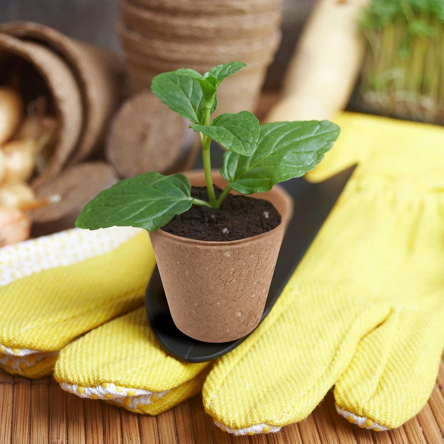 3T GROUP 100 Pack 3.15 Inch Mini Pots for Plants,Small Plant Pots,Biodegradable Compostable Flower Pots,Disposable Seed Seedling Pot Cups for Vegetables,Fruit with 100 Labels,Tool (100pcs)