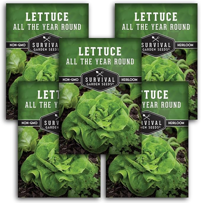 All The Year Round Lettuce Seed for Planting - 5 Packets with Instructions to Plant & Grow Adaptable Salad Greens in Your Home Vegetable Garden - Non-GMO Heirloom Variety - Survival Garden Seeds