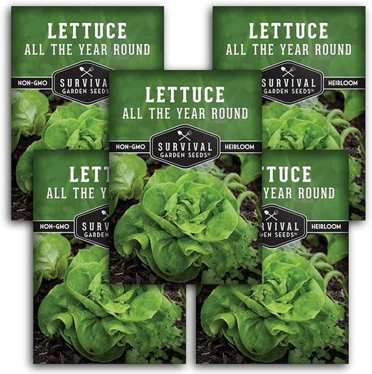 All The Year Round Lettuce Seed for Planting - 5 Packets with Instructions to Plant & Grow Adaptable Salad Greens in Your Home Vegetable Garden - Non-GMO Heirloom Variety - Survival Garden Seeds