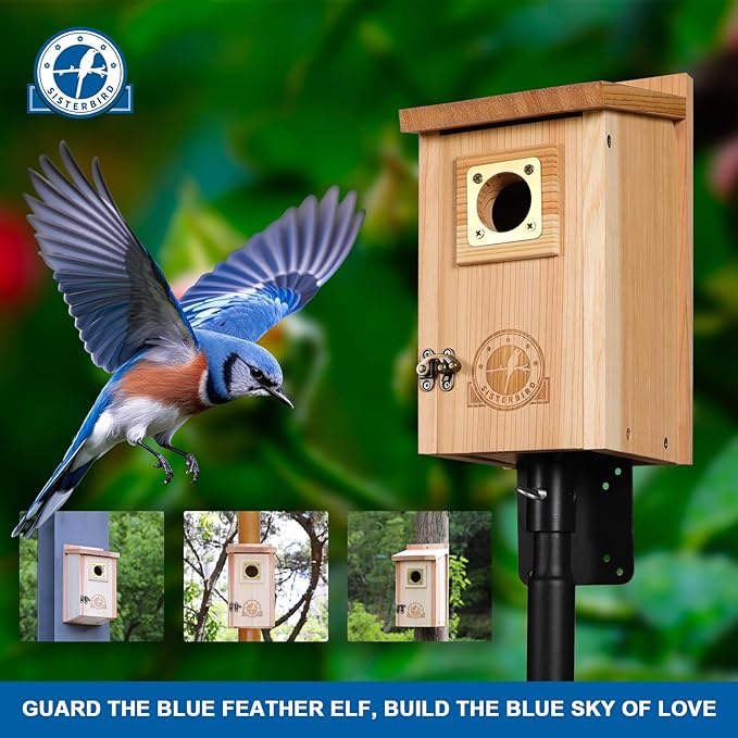 2 Pack Bird Houses for Outside Clearance with Copper Guard, Cedar Bird House Outdoor, Bluebird Finch Swallow Wren Chickadee Assembly Required