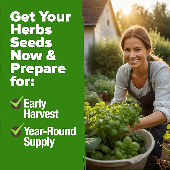 HOME GROWN 5 Herb Seeds for Planting 2,150+ Non-GMO Heirloom Seeds | Extra Large Variety Pack Herb Kit โ Indoor Outdoor & Hydroponic | Culinary Seed Set | Grow Your Own Herbs | Gift for Beginners