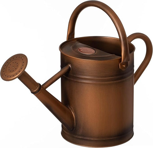 Gardenised 1 Gallon Metal Watering Can with Removable Long Spout & Sprinkler Head for Indoor & Outdoor Use Ideal for Garden Flowers Potted Plants Houseplants Modern Decorative Home Accessories, Bronze