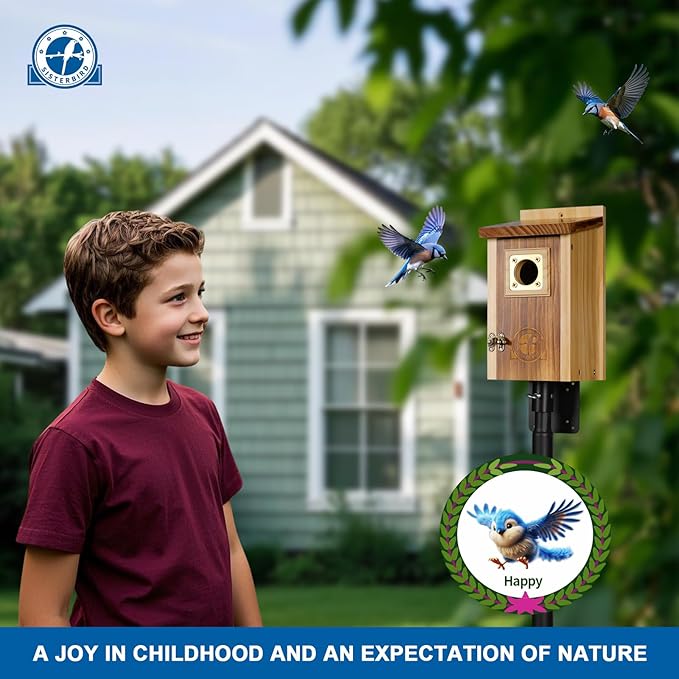 Pack of 2 Bluebird Houses for Outside, Premium Wooden Bird Houses for Outdoor, Weatherproof Blue Bird House, Bluebird Swallow Chickadee Wren, Assembly Required