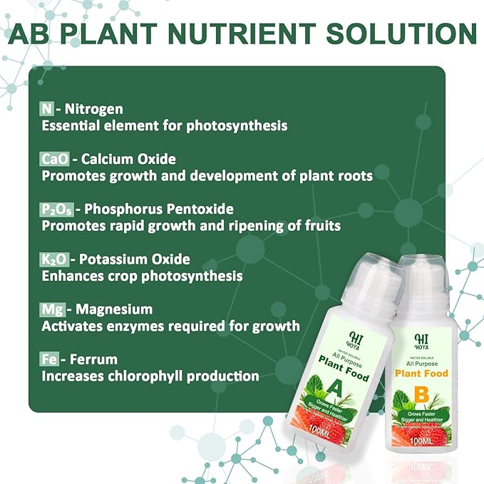 Lettuce Seed Pod Kit, Romaine, Butter Head, Red Sail, Red&Green Leaf, Red Sail Lettuce, Grow Anything Seed Pod Kit Compatible with All Indoor Hydroponics (8-Pod)