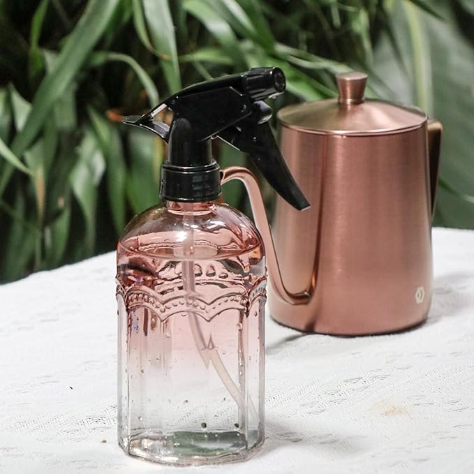 OFFIDIX Watering Can for Indoor Plants Long Spout Metal Stainless Steel 21 oz/600 ml Small Watering Can with 14 oz/400ml Glass Plant Mister Spray Bottle for Plants Bonsai