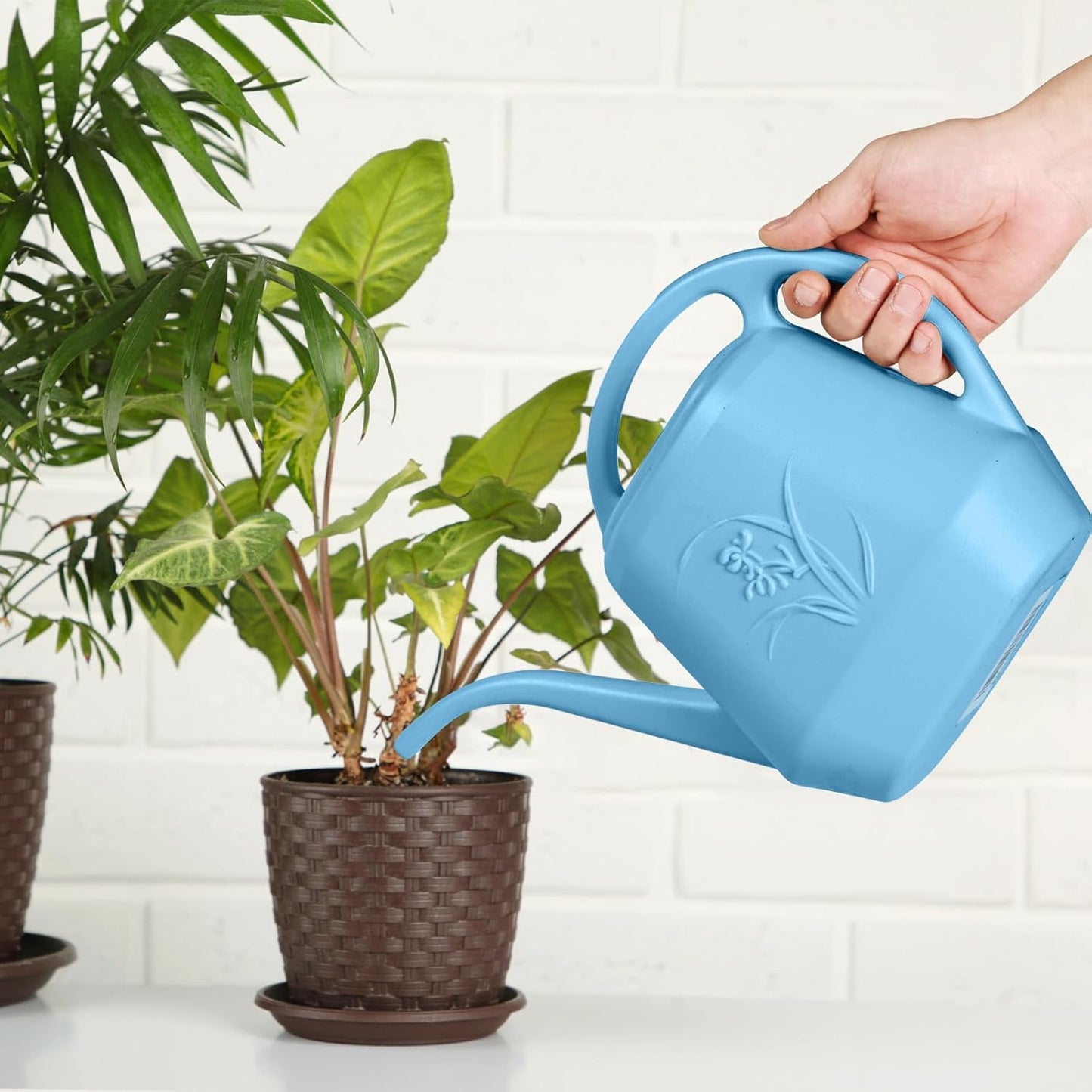 Plastic Watering Can - for Indoor and Outdoor Plant - 1/2 Gallon - SkyBlue