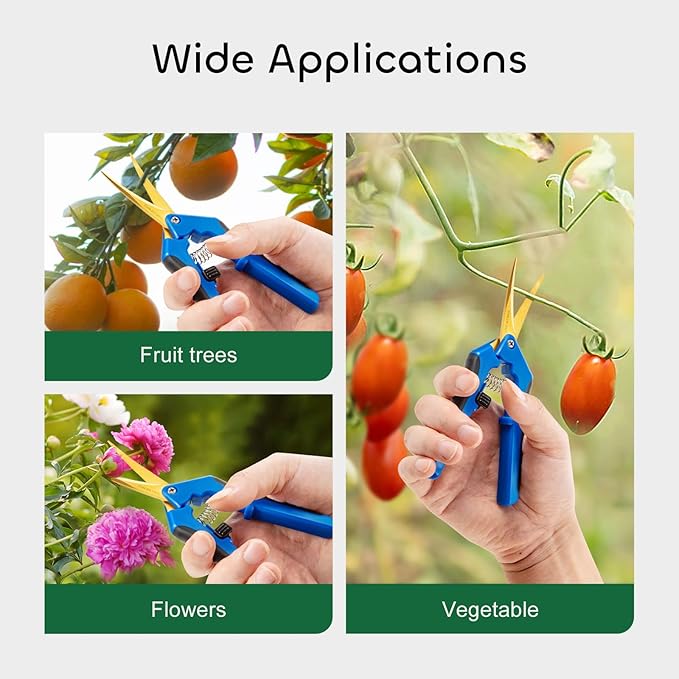 GROWNEER 6 Packs 6.5 Inch Pruning Shears with Curved Blades Trimming Scissors For Gardening Hand Pruning Snips Titanium Coated Precision Blades