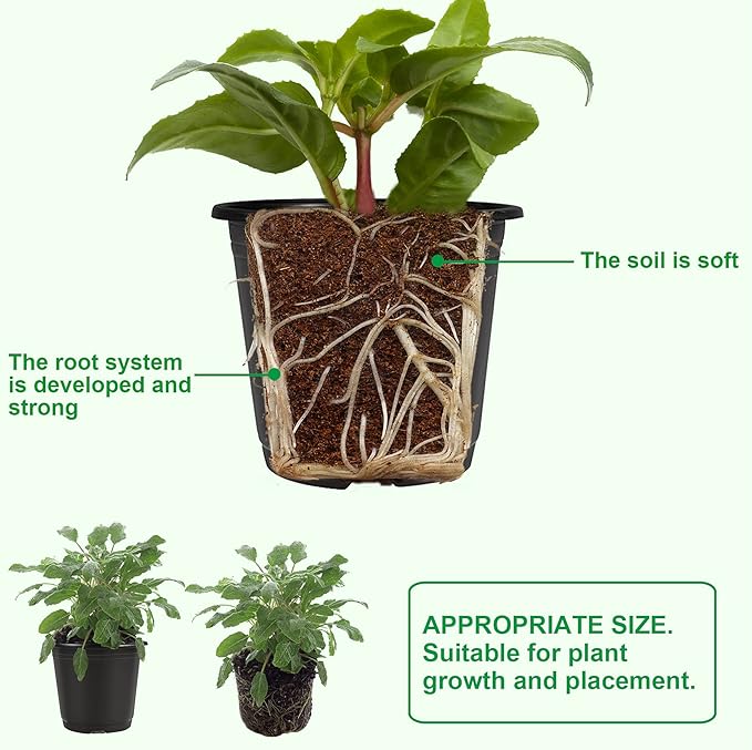 Augshy 40 Pcs 4" Black Plastic Plant Nursery Seed Starting Pots for Succulent Seedling Cutting Transplanting