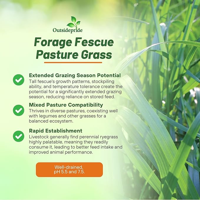 Outsidepride Forage Tall Fescue Grass Seeds - 50 lb. Perennial, Drought-Tolerant & Easy to Grow, Pasture Seeds for Planting Soft & Abundant Grass, Great for Grazing Livestock & Hay Production