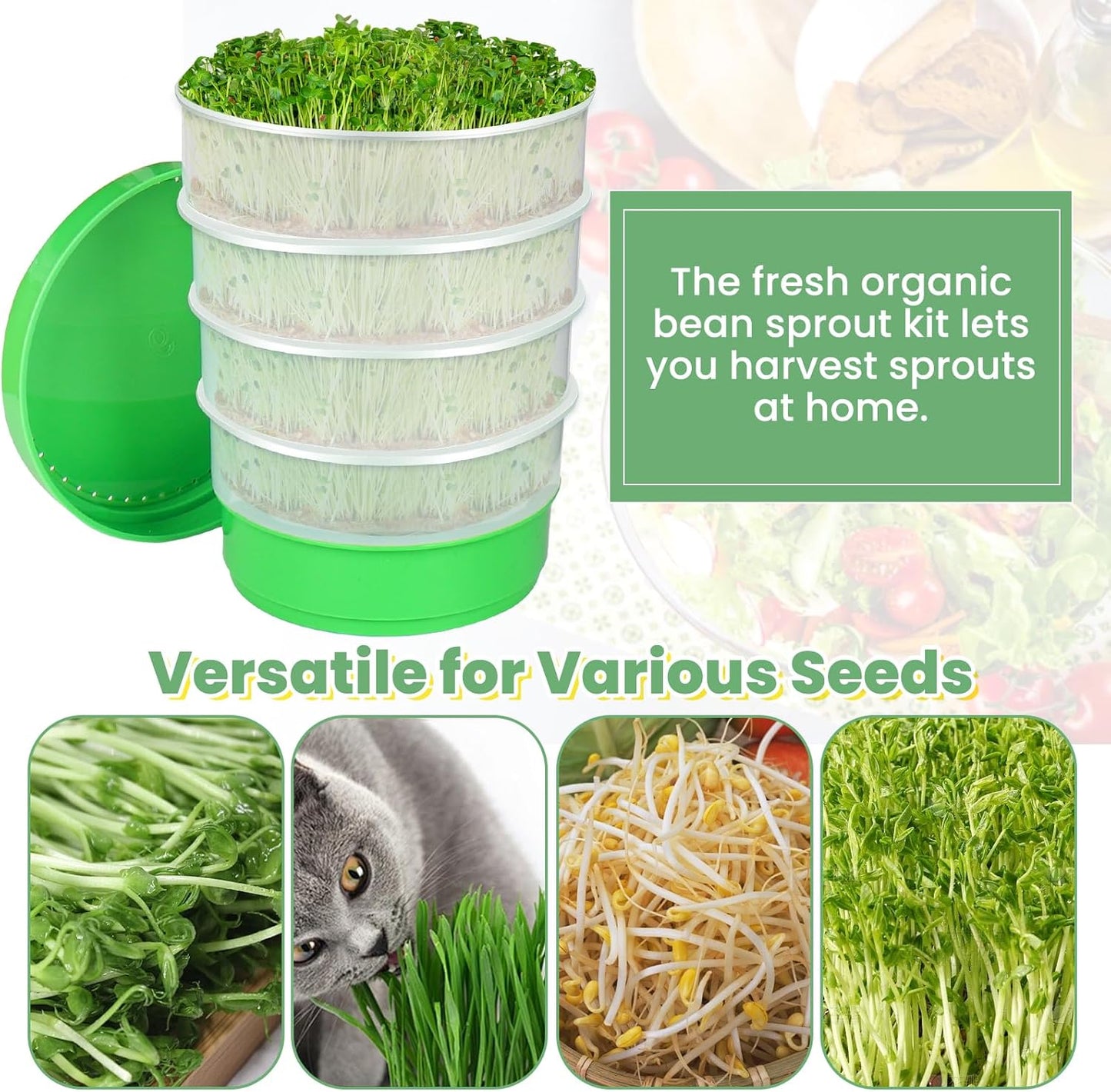 Seed Sprouting Kit - 4-Tier Stackable Seed Sprouter Trays with Drain Holes and Drain Tray, Micro Greens Growing Trays Kit, Soil-Free Sprouter Tray for Beans Alfalfa Seeds