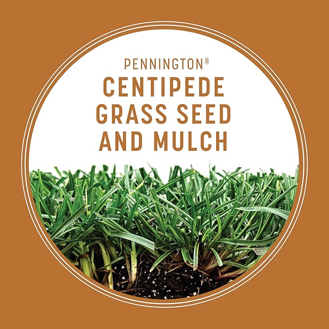 Pennington 100532365 Centipede Grass Seed & Mulch 5 LB, Black Label