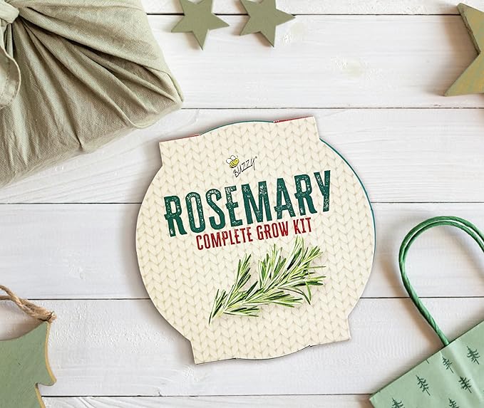BUZZY Seeds Holiday Rosemary Grow Kit – Indoor Herb Garden Starter Pail with Non-GMO Seeds, Growing Medium, and Easy Instructions – DIY Christmas Gardening Gift, Stocking Stuffer
