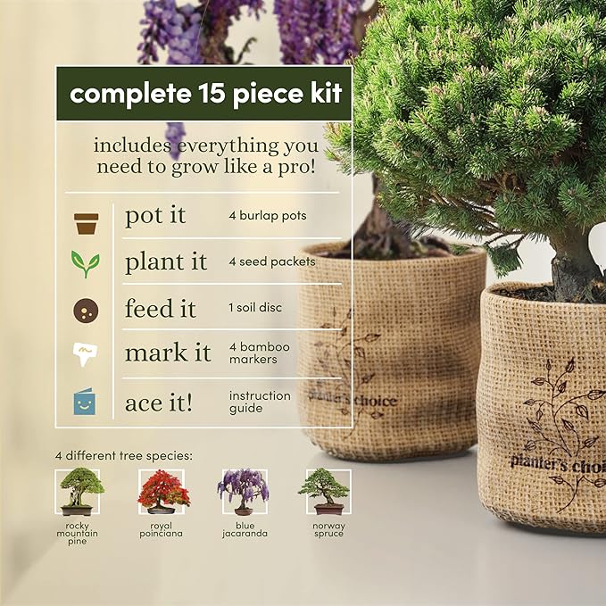 Bonsai Starter Kit - Gardening Easter Gift for Women & Men - Bonsai Tree Growing Garden Crafts Hobby Kits for Adults, Unique DIY Hobbies for Plant Lovers - Unusual Christmas Gifts Ideas