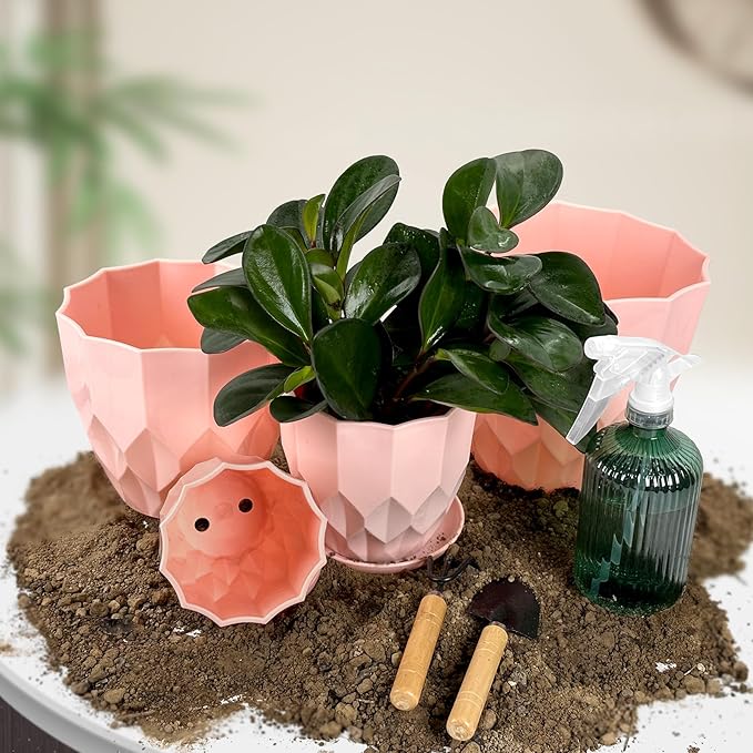 Flower Pots, 8.3/7.1/5.9/4.3 inch Nursery Plant Pot with Drainage Holes and Hole Mesh Pad and Saucers Tray for Indoor Garden Plants, Succulent, Orchid and Cactus