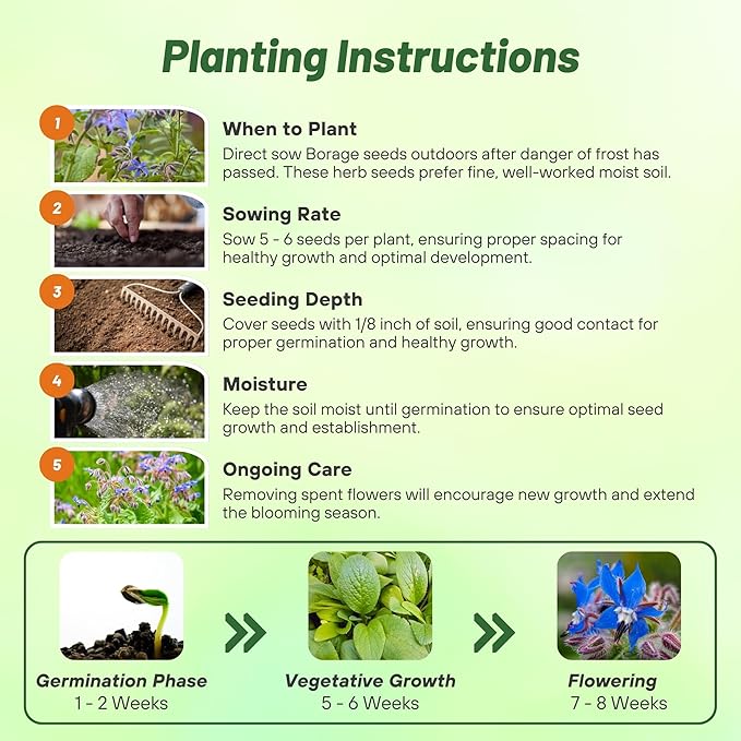 Outsidepride Blue Borage Seeds for Planting – 5 lb. Annual, Drought-Tolerant Herb Seeds with Star-Shaped Blooms, Attracts Bees for Pollinator Gardens, Summer Teas, Decoration & Culinary Use