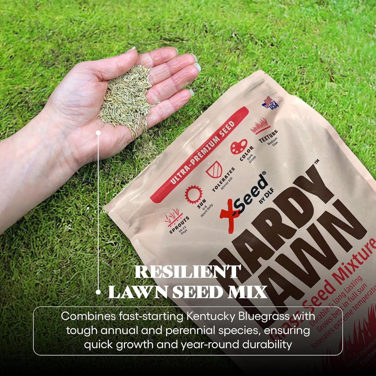 X-Seed Hardy Lawn Grass Seed Mixture - Durable, Long-Lasting Lawn Solution for Full Sun, Withstands Extreme Temperatures & Heavy Traffic, Ideal for Backyards, 7 lbs.