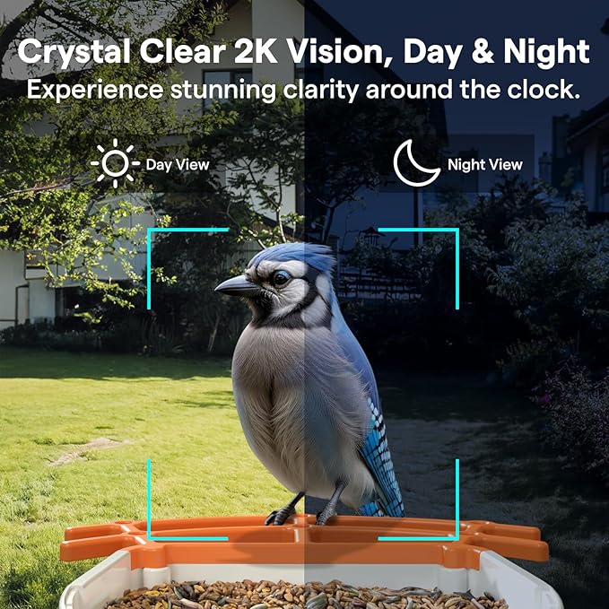 BirdsView Bird Feeder with 2K Ai Camera, Solar Panel, Hummingbird Feeder, Bird House, Live Alerts & Species Recognition โ Ideal for Bird Lovers