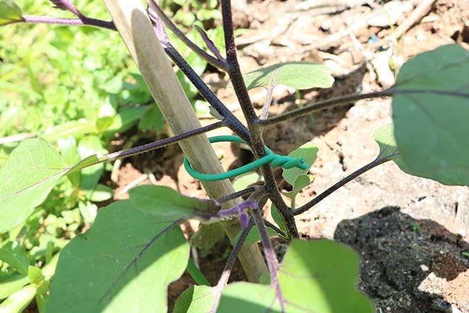 Garden Flexible Wire Tie, TPR Soft Twist Plant Ties Support Plant Vines for Supporting and Fixing Garden Planting Branches Vines & Stems ,Organize Data Wire and Office Organization (100ft, 0.2in)