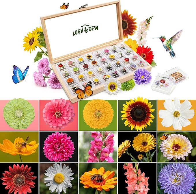 LUSH&DEW Cut Flower Seed Bank, Gift for Women Men, 32 Types Non-GMO Annual & Perennial Wildflower Seeds for Planting in Raised Garden Bed Greenhouse, Seed Storage Organizer, Zinnia Sunflower Zone 3-10