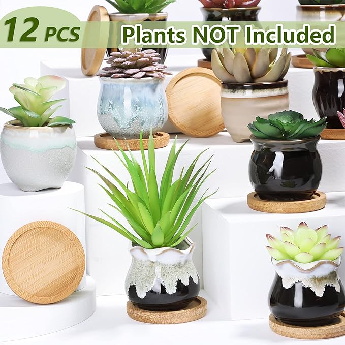 Remerry 12 Pcs Small Succulent Pots Bulk with Drainage Assorted 2.5 Inch Mini Ceramic Succulent Planters Pot with Coaster Bamboo Plant Tray Planting Pots for Home Office Garden (Rich Color)