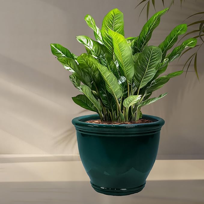 Sunnydaze Large Ceramic Plant Pot - Round Outdoor Glazed Ceramic Planter Pot with Drainage - Studio - Dark Green - 18.5"