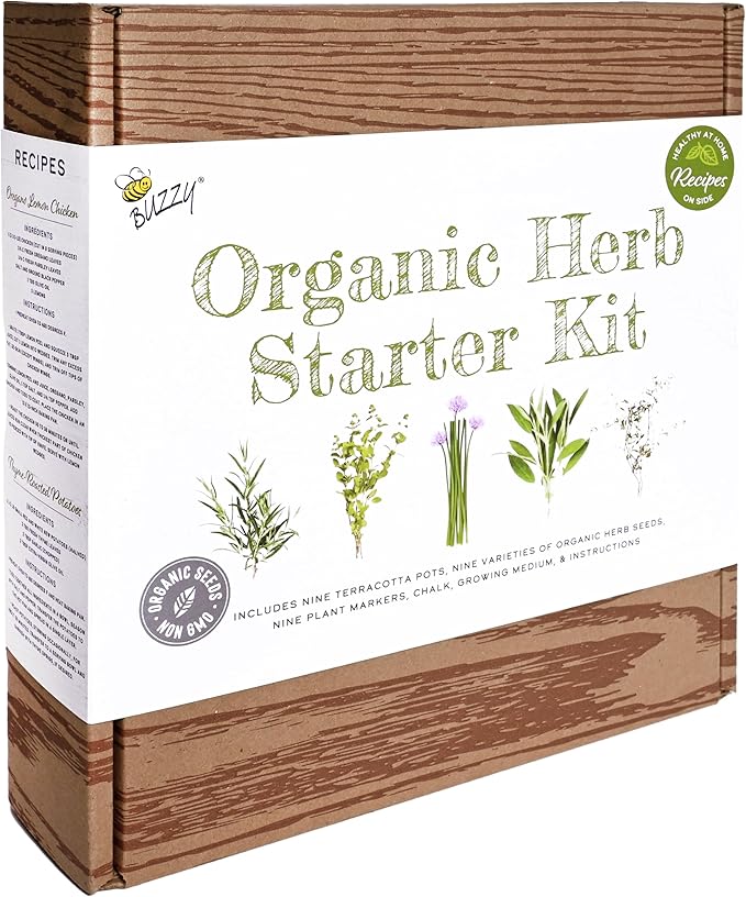 BUZZY Seeds 9 Pot Terracotta Grow Kit Organic Herb Seed Starter Set for Indoor Planting | Includes Seeds, Planting Pots, Soil and Plant Markers, Easy Gardening Gift, Kids Project, Gifts for Teachers