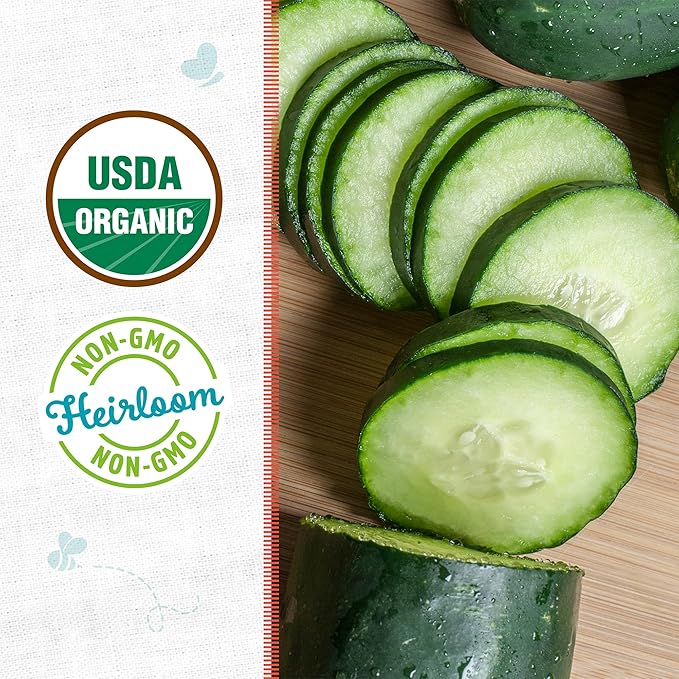 Back to the Roots 100% Organic Seed Packets Cucumber 'Marketmore 76' (Pack of 2)