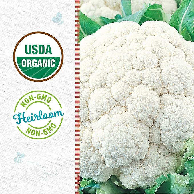 Back to The Roots 100% Organic Heirloom Seeds - Cauliflower Value Pack (1g Total)