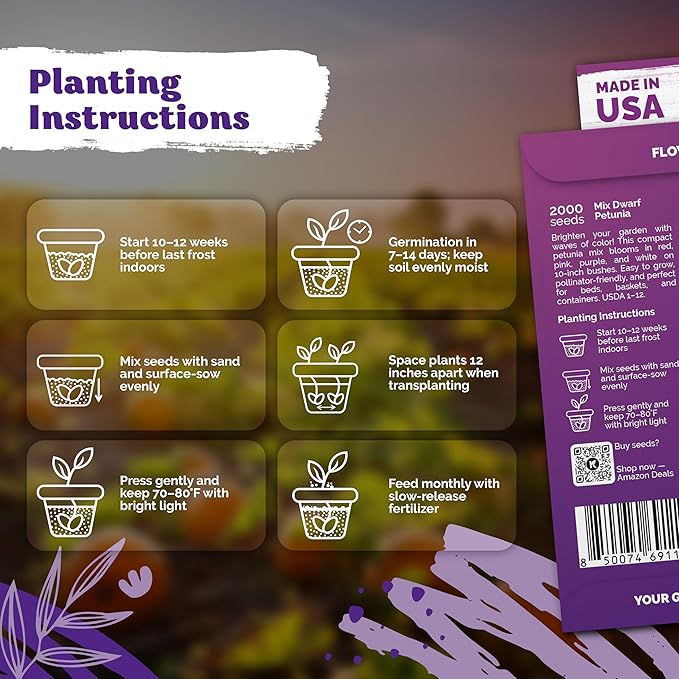 KVITER 2,000 Mix Dwarf Petunia Seeds for Planting Flowers (Nana Compacta) — Mini Petunia Flower Seeds, Annual, Organic & Non GMO — Beds, Hanging Baskets, Containers, Outdoor & Indoor Garden