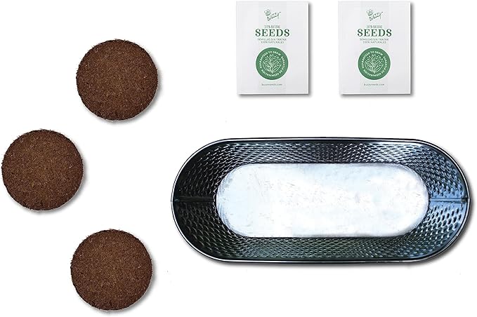 BUZZY Seeds Easy to Grow Rosemary and Sage Windowsill Herb Kit, Decorative Planter Includes Seed Packets and Growing Medium, Indoor Gardening Gift, Seed Starter, Birthday Present Idea