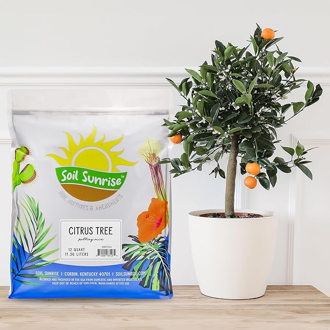 Citrus Tree Potting Soil Mix (12 Quarts), Special Blend for Indoor Oranges, Lemons, Limes and More