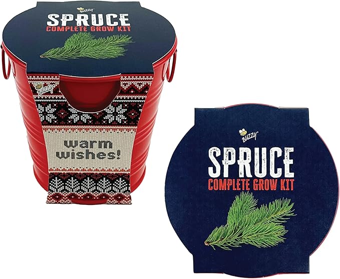 BUZZY Seeds All-in-One Spruce Tree Grow Kit Holiday Pail with Non-GMO Seeds, Growing Medium, Red Pail and Easy Instructions | Fun Indoor Gardening Project, Great Gift for Gardeners, Stockiing Stuffer