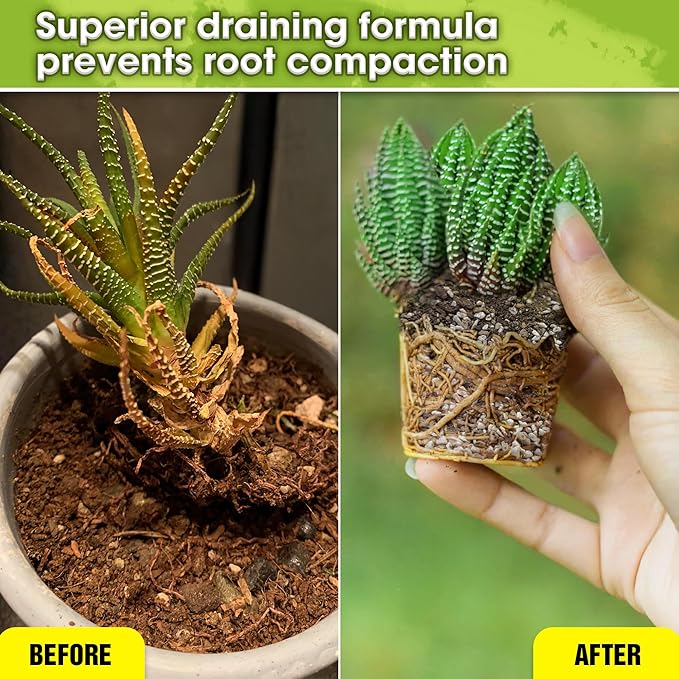 DUSPRO Succulents Soil Potting Mix โ 7 in 1 Ingredients Well-Draining, Nutrient-Rich Cactus Potting Soil for Succulents and Cacti, Indoor & Outdoor Use, Ready to Use, Supports Healthy Root Growth, 4QT