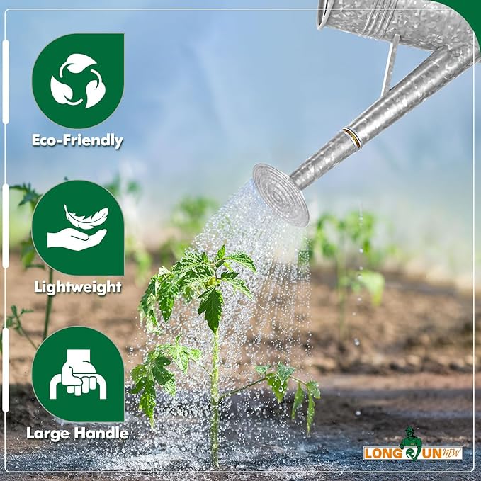 Galvanized Iron Watering Can for Indoor Plants, Oval Watering Cans for House Plant Garden Flower, Long Spout Water Can for Outdoor Watering Plants 9.46L 2.5 Gallon