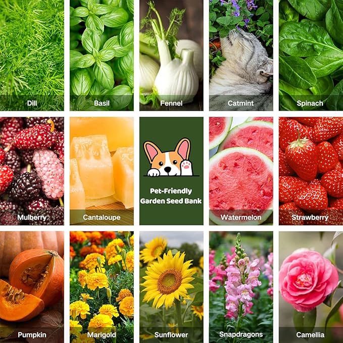 Lush&Dew Pet-Friendly Heirloom Seed Bank, Gardening Gifts for Women Men, 16 Varieties 15,000+ Non-GMO Seeds for Planting Herbs Flowers Vegetables in Raised Bed Windowsill, Annuals & Perennials